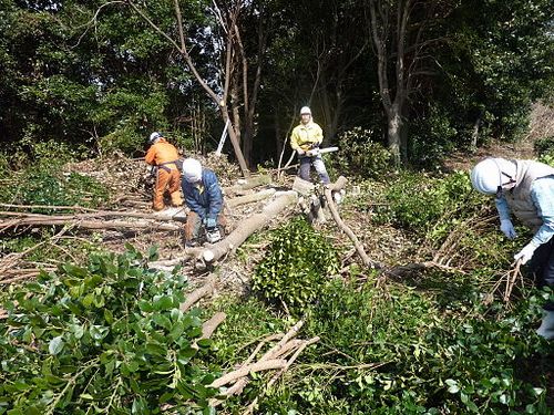 報告書「地域住民所有型エネルギー事業は地元のためになる」