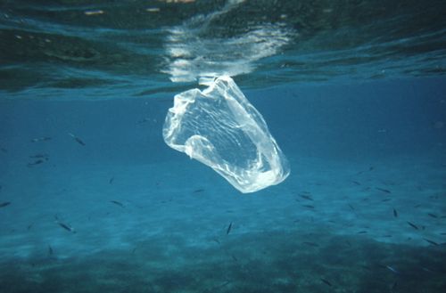 第1回プラスチック資源循環戦略小委員会にあたって