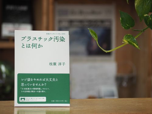 『プラスチック汚染とは何か』（岩波ブックレット）が発売されました！