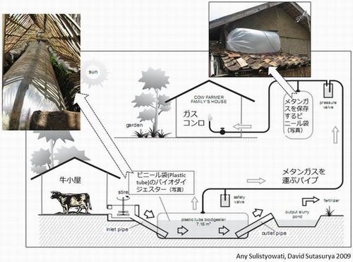 つながりで生み出す大きな変化：インドネシアに広がるバイオダイジェスター