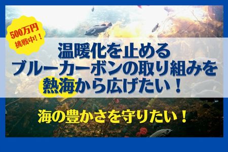 ブルーカーボンプロジェクトの活動に向けたクラウドファンディングをスタートしました！