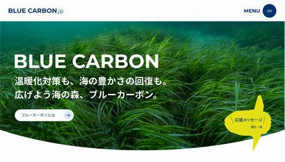 海草・海藻の再生プロジェクトとブルーカーボンの取り組み