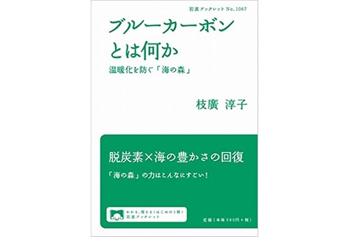 岩波ブックレット「ブルーカーボンとは何か: 温暖化を防ぐ「海の森」」が刊行されます！