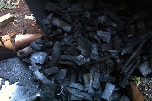 バイオ炭の可能性～炭材の準備から炭出しまで～製炭の実務を体験、炭化の温暖化対策としての可能性を知る３日間コース