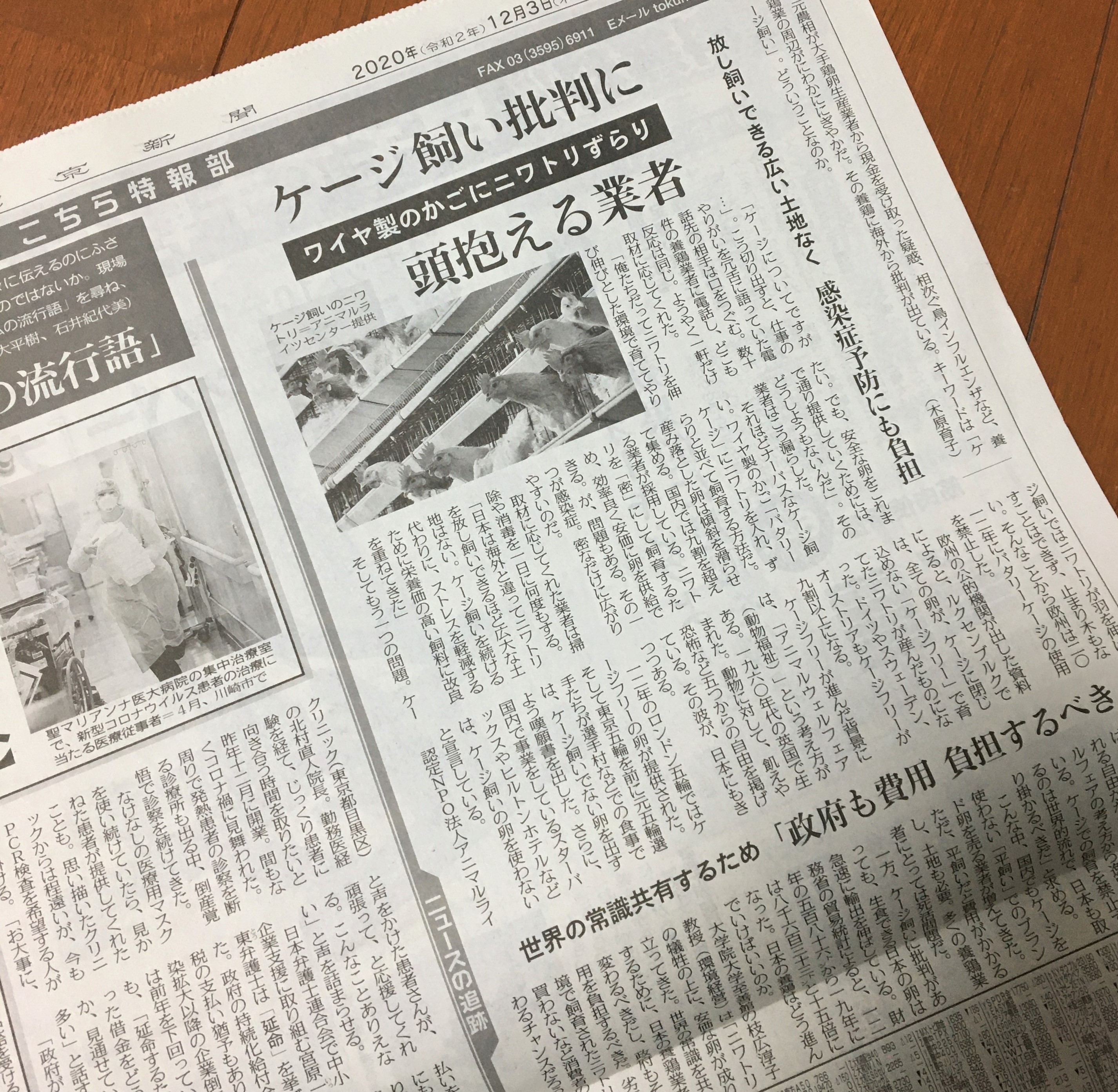 20201203TokyoShinbun.jpeg