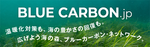 ブルーカーボン.jp 温暖化対策も、海の豊かさの回復も。広げよう海の森、ブルーカーボン・ネットワーク。